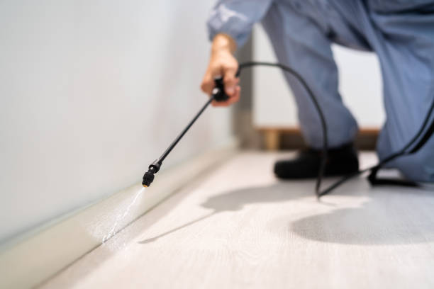 Licensed Exterminator service in Lakeland Highlands, FL - Show Me Pest Control