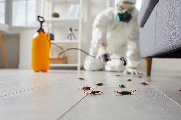 Commercial Kitchen Cockroach Control in Lakeland Highlands